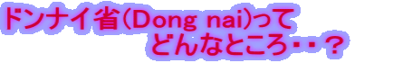 ドンナイ省(Dong nai)って 　　　　 　　　　　どんなところ・・？